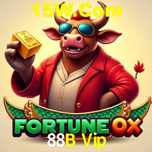 Interface Premium 88B Vip